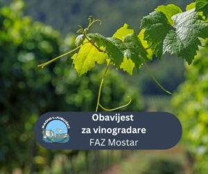 Obavijest za vinogradare