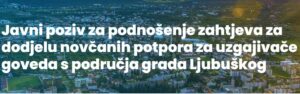 Javni poziv za podnošenje zahtjeva za dodjelu novčanih potpora za uzgajivače goveda s područja grada Ljubuškog