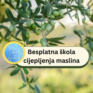 Škola cijepljenja masline 2026. godine