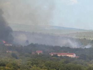 VATROGASCI I AIR TRACTORI BORE SE S VATRENOM STIHIJOM U CERNU